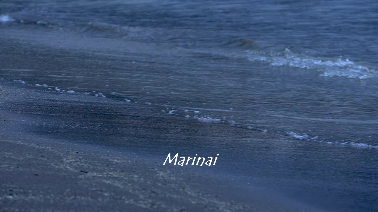 Scapestro feat. Chiara Carnevale -  Marinai (video lyrics)