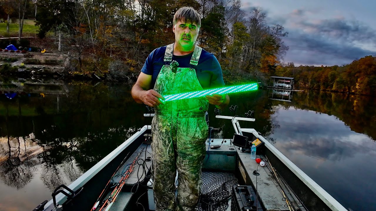 Using Green Light To Catch Catfish Bait At Night