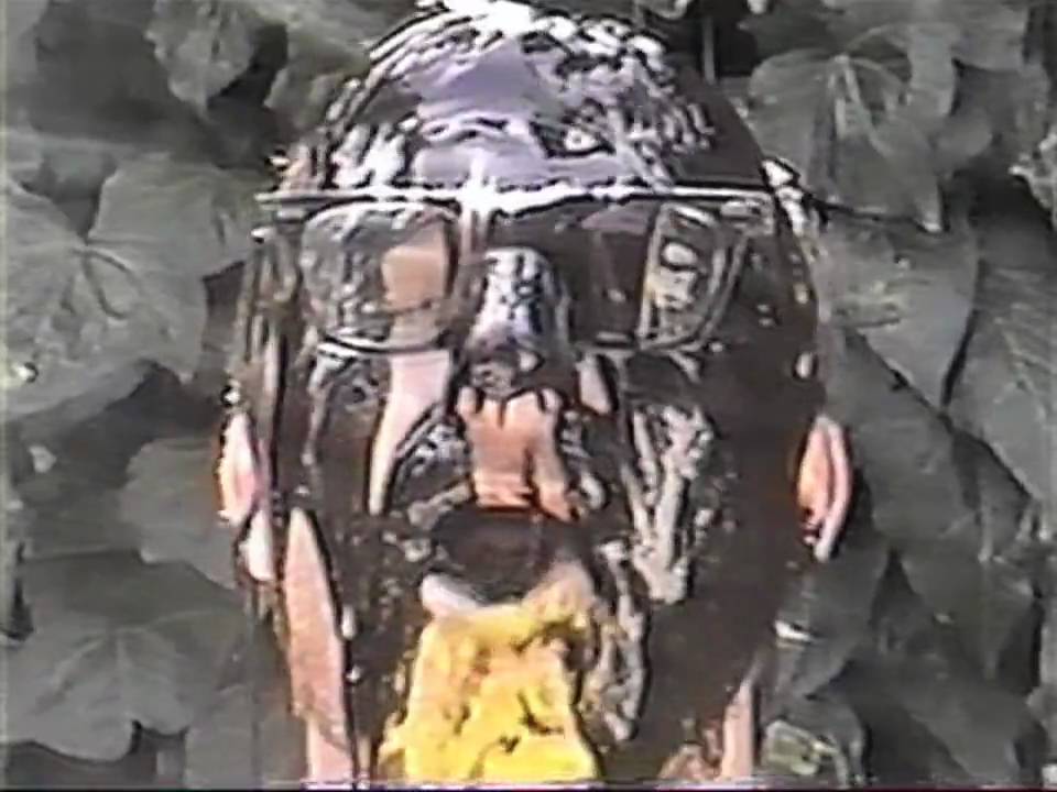 Tera Melos 