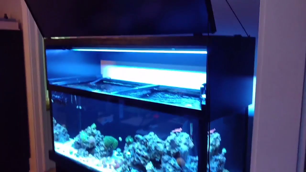 Reef Tank Build Episode 4: Lights and Canopy.