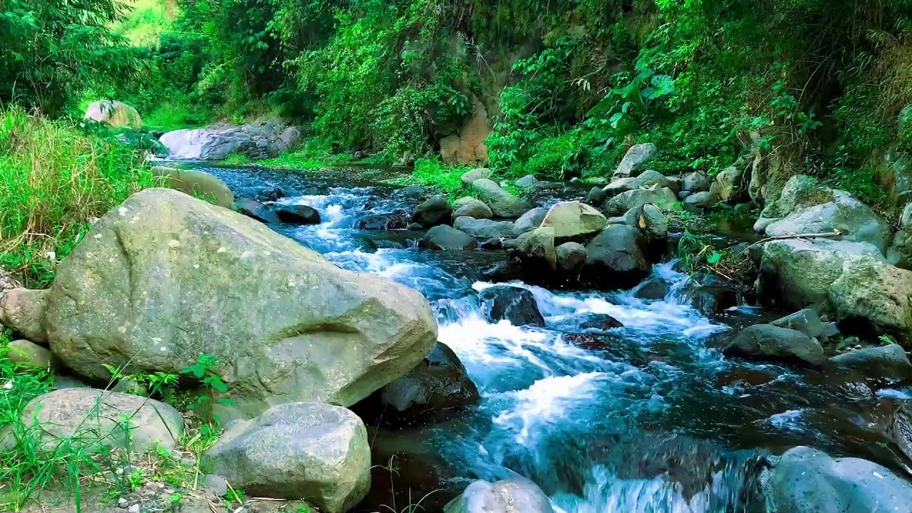 Restorative Water Stream to help Calm Mind, Recharging & Focus