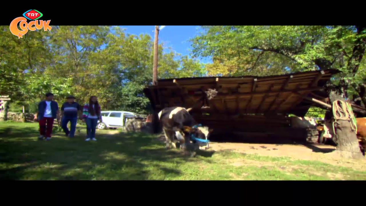 Köstebekgiller 66.Bölüm - Köye Gidiyoruz