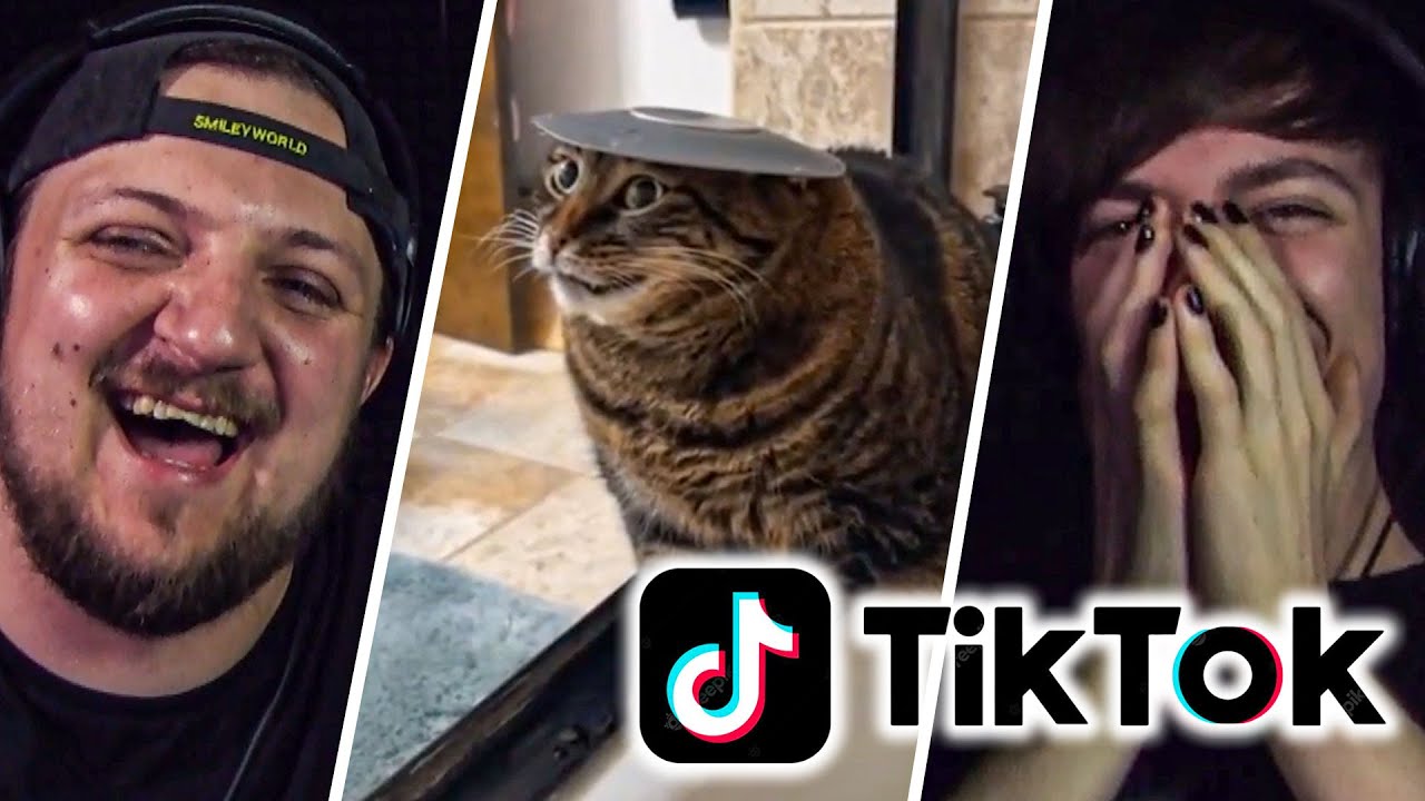 PO TYCH TIKTOKACH ROZBOLAŁ MNIE BRZUSZEK :(