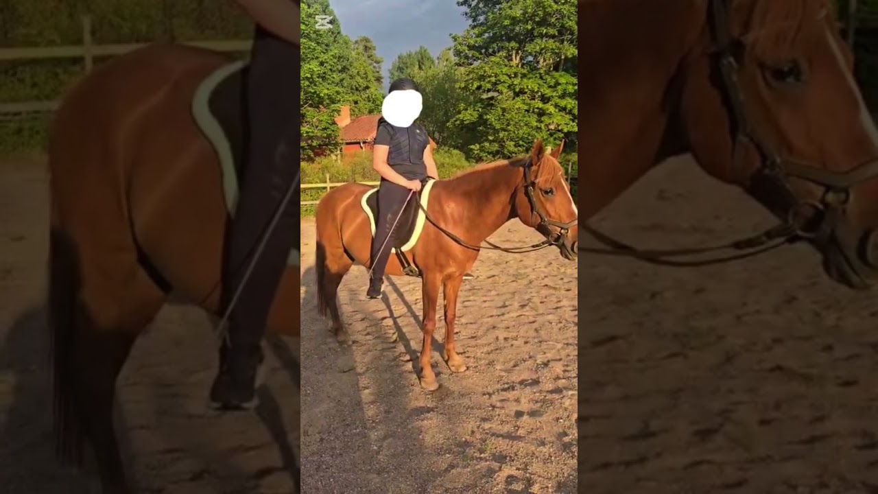 jääääätteduktig Bella idag när vi testade vår nya barbackapadd!😍har typ blivit en barbackatjej haha😜
