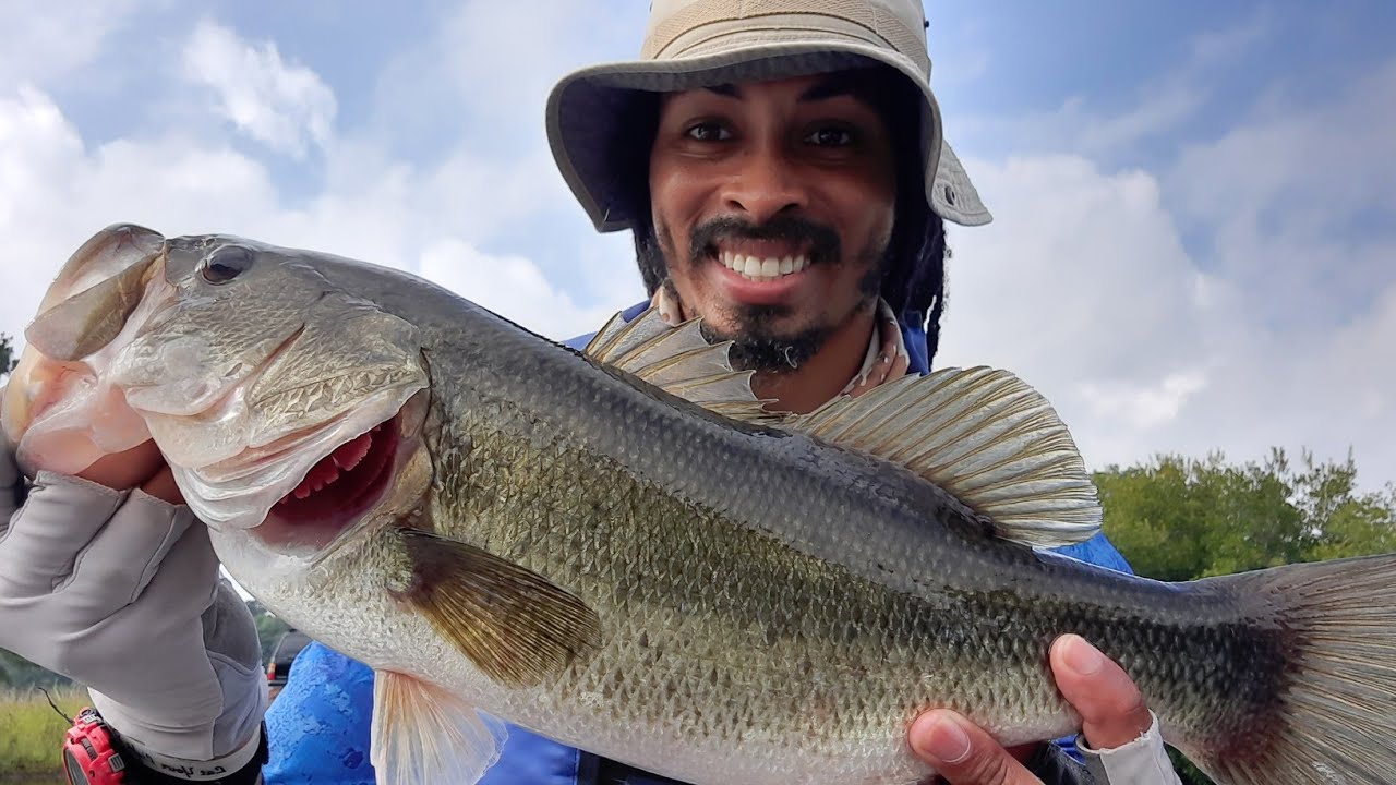Summer Time Bass Fishing: Small Pond Big Potential