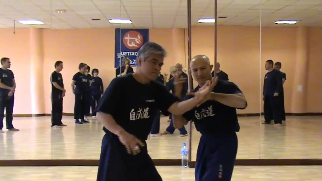 Kenji Tokitsu Stage Taiji Quan Push Hand Bilbao Aprile 2014