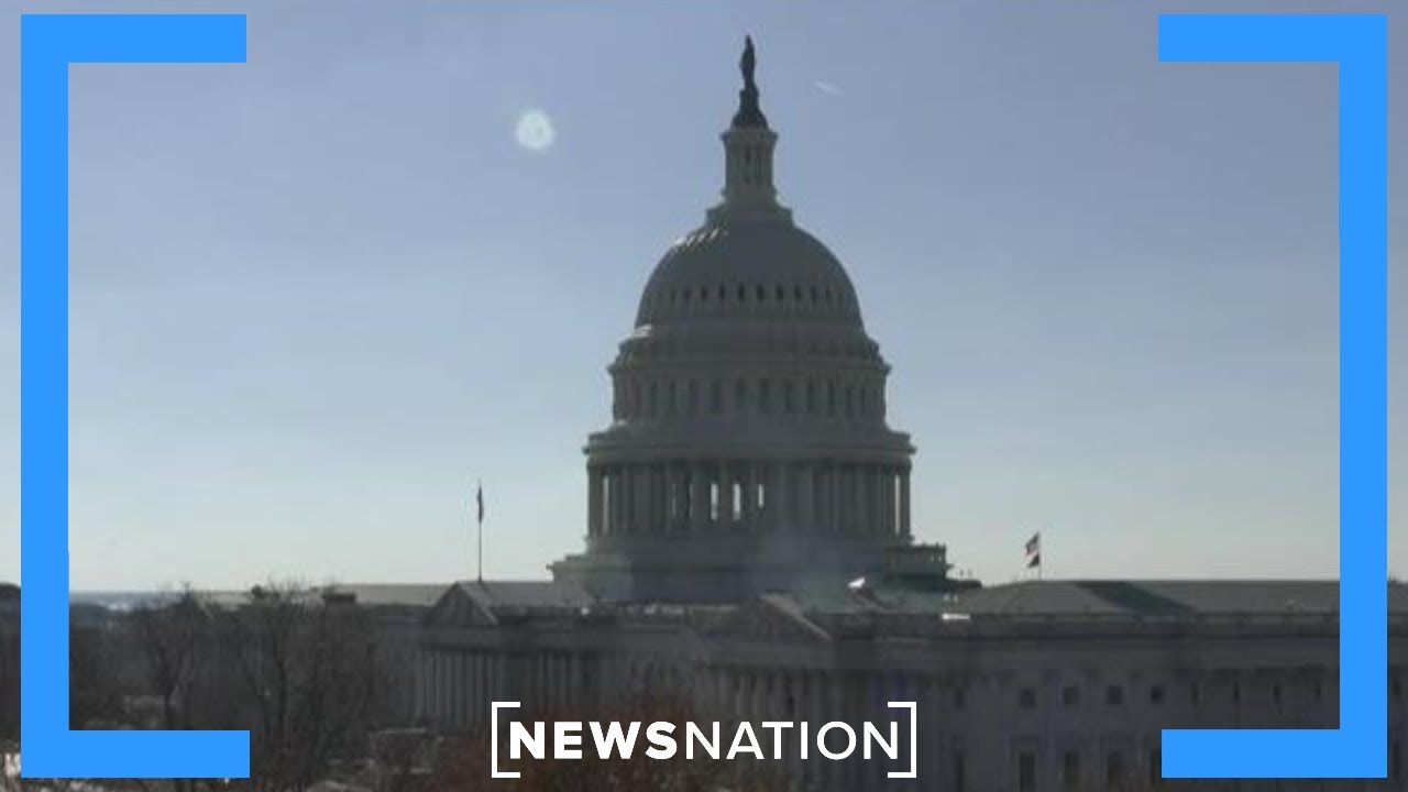 Feds prepare for Minnesota operation targeting Somalis | NewsNation Live