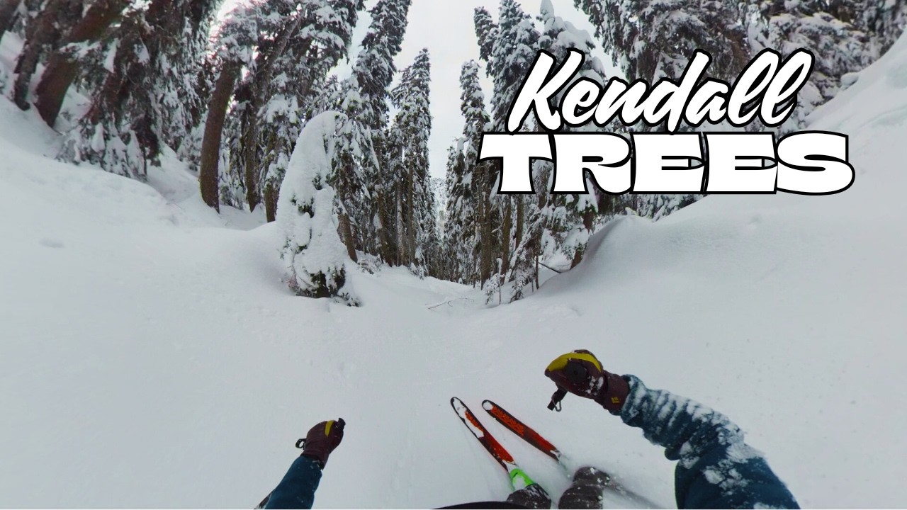 Easy Ski Tour 1 Hour from Seattle
