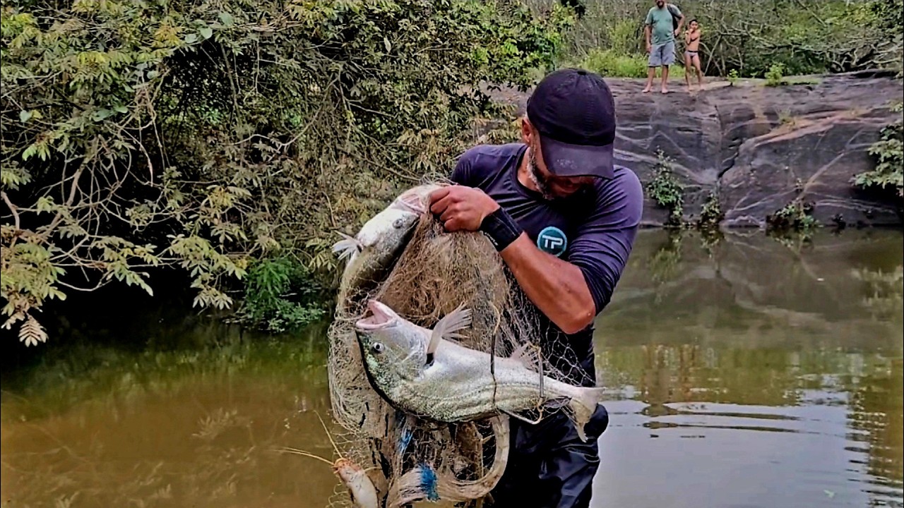 Finalmente a tarrafada dos sonhos... #peixefrito 🔥