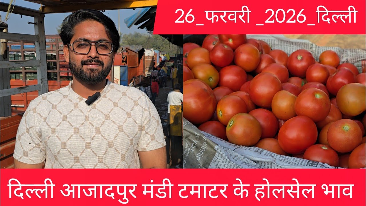 26 February 2026 दिल्ली 🍅टमाटर के भाव azadpur Delhi mandi today #tomatomarket #delhitomatomarket