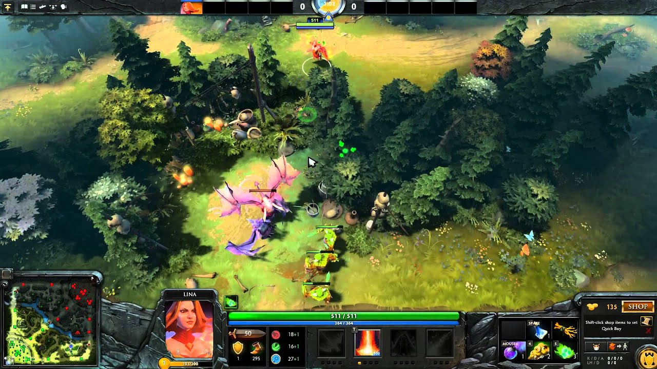 DotA Roles - Hard Support