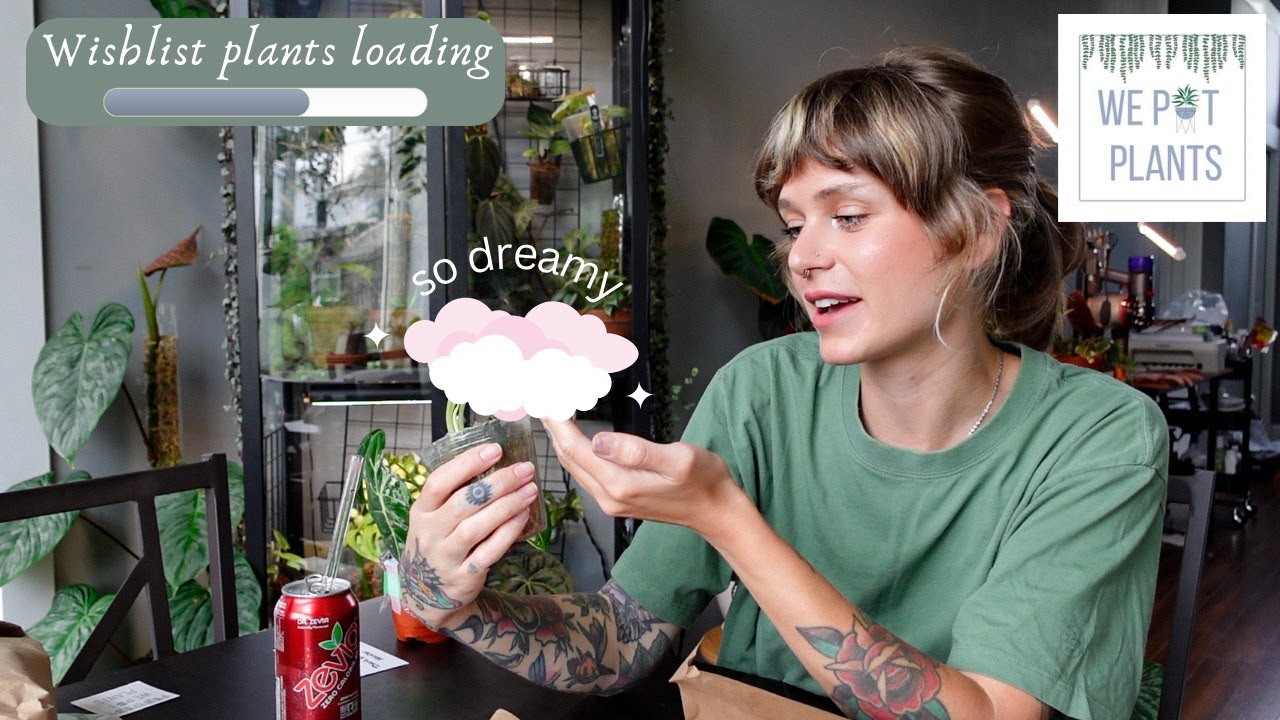 bye I'm in variegated plant heaven 🌿👼 We Pot Plants - my favourite unboxing yet? ✨