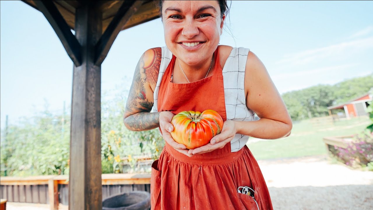 Big Tomato Tradition (Harvest with me) | VLOG