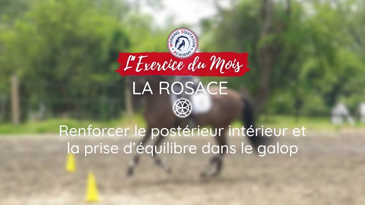 Améliorer le galop grâce à la rosace : un exercice simple et puissant