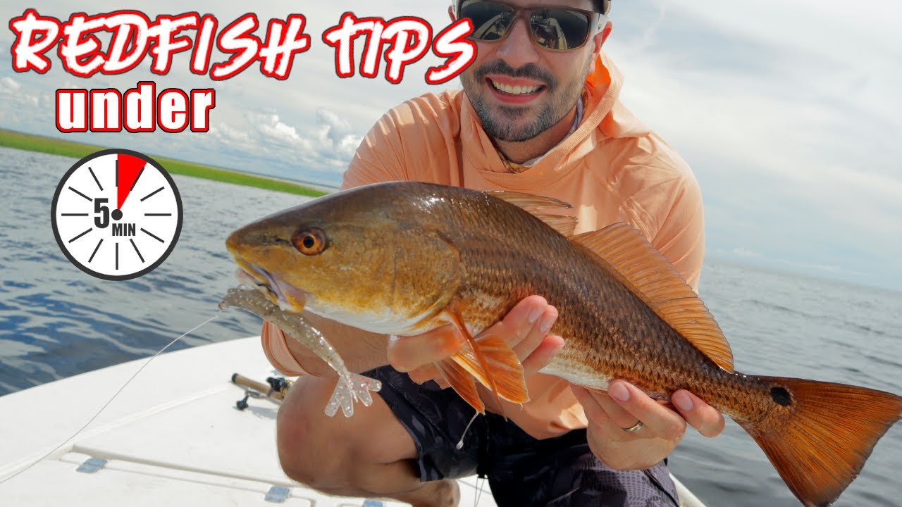 Redfish tips and tricks in under FIVE minutes | Redfish under 5 minutes.