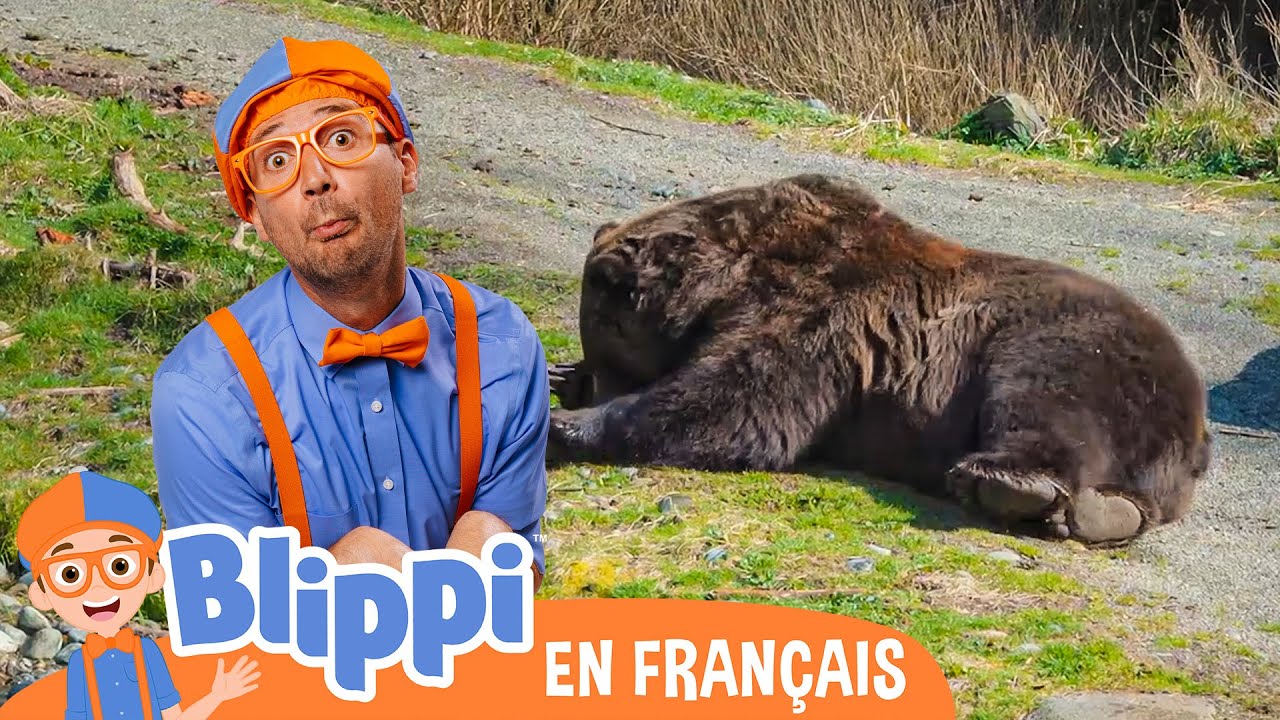 Blippi au zoo - Nourrir les animaux  | @blippifrançais​