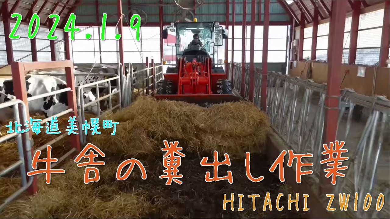 【2024.1.9】HITACHI zw100の運転席から　　　育成舎の糞出し作業　　　北海道美幌町