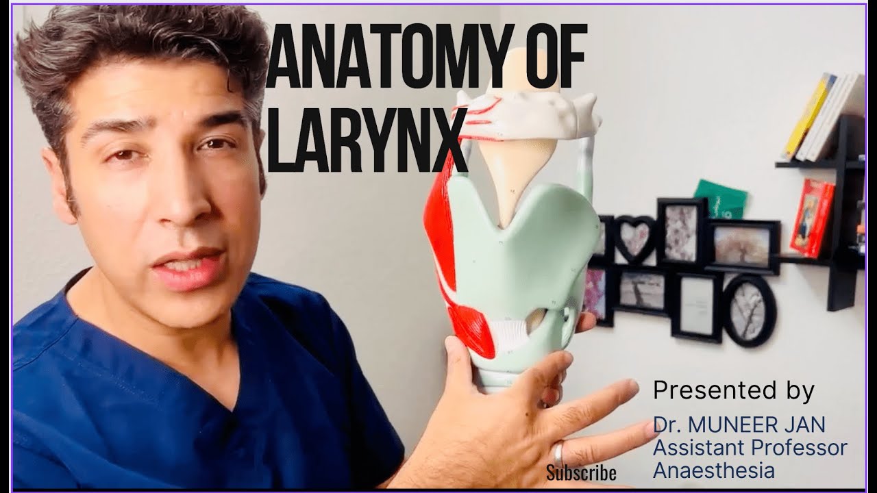 ANATOMY OF LARYNX