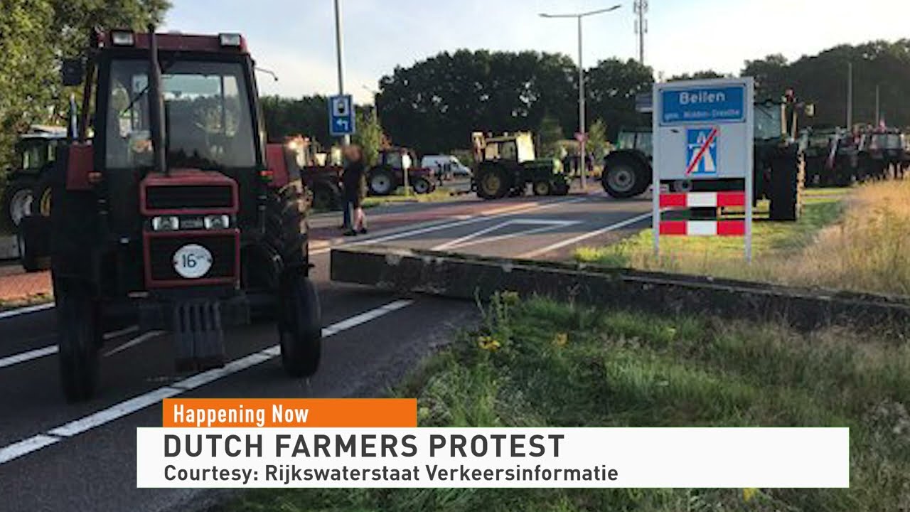 Dutch Farmers Protest