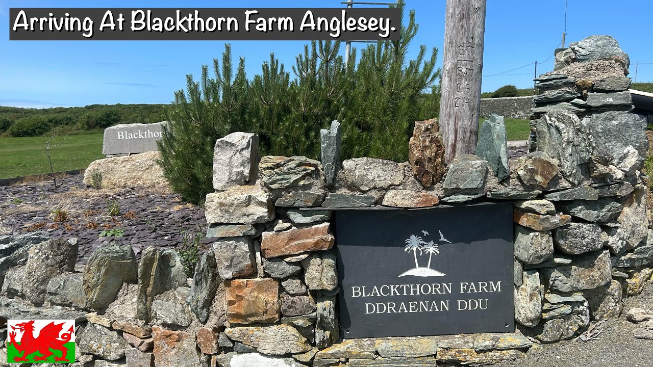 Blackthorn Farm Anglesey | Best Campsite on Anglesey? Full Walk Around