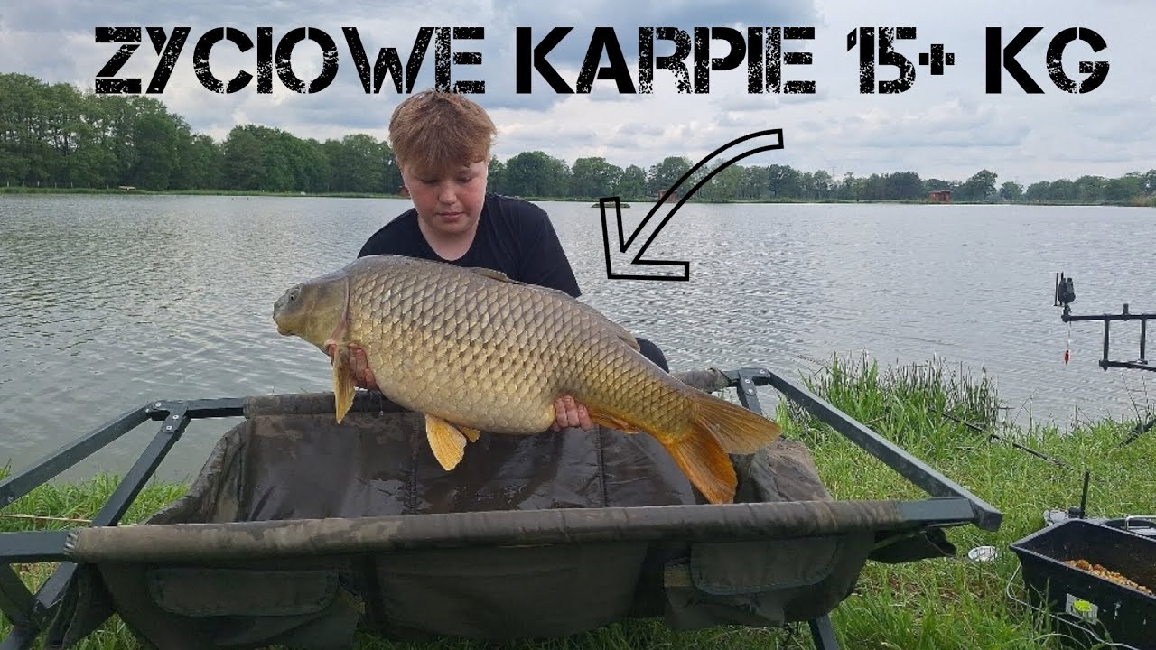 ZYCIOWE RYBY 15+ KG 3 DOBY I 16 RYB NA LOWISKU 