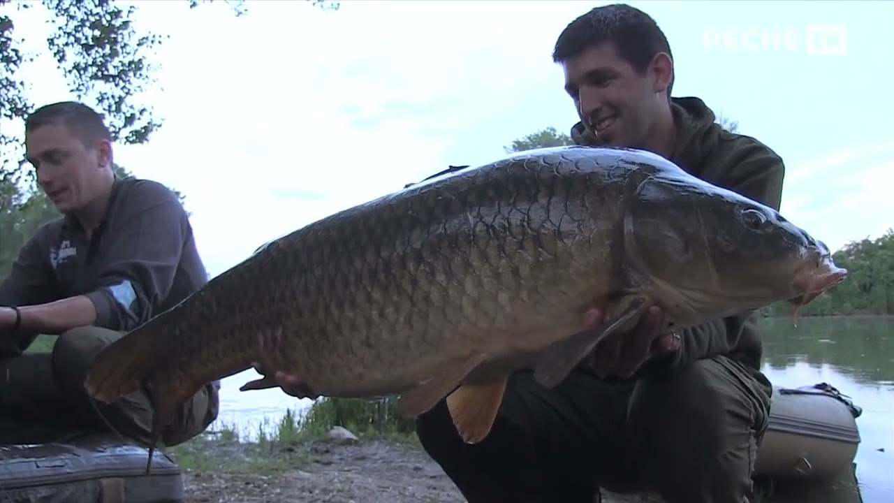 Globe Fishing Pêche de la carpe dans le Tarn (Partie 1)