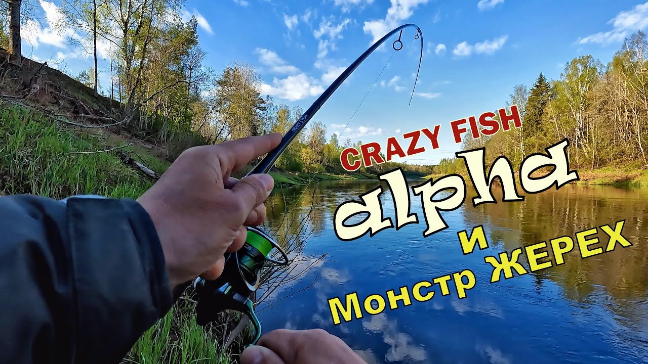 Crazy Fish Alpha 2-8 г. и ЖЕРЕХИ МОНСТРЫ