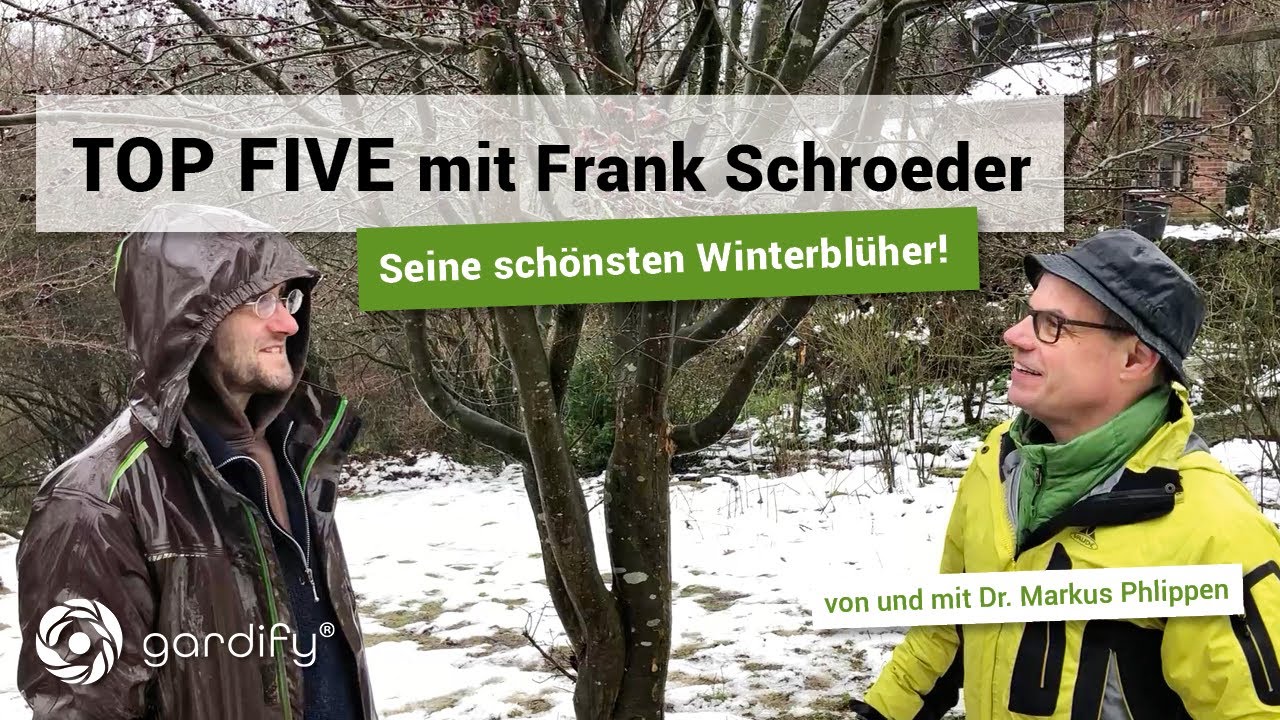 TOP 5 mit Frank Schroeder – Seine schönsten Winterblüher | gardify Tipps
