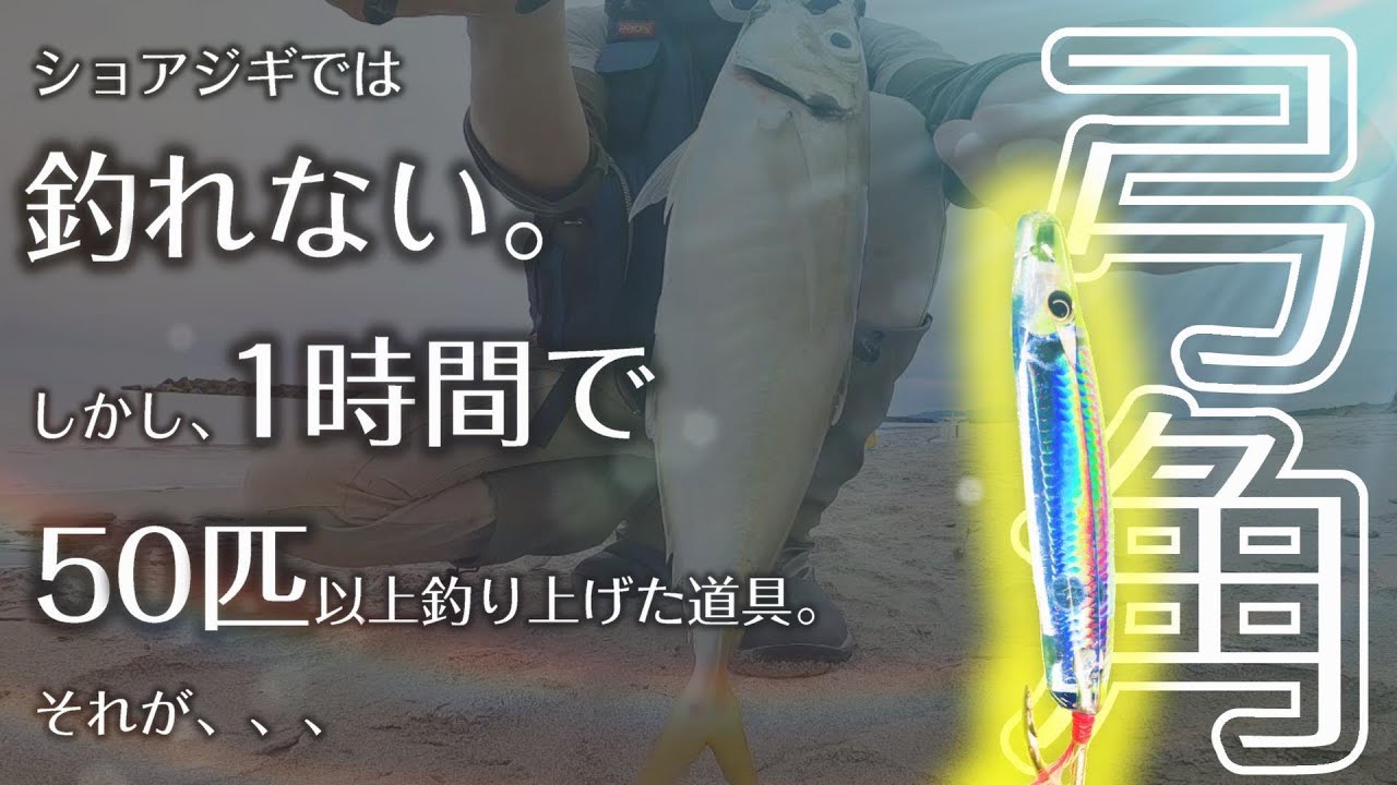 ショアジギングでは釣れない魚が投げ釣りの弓角では大漁だった