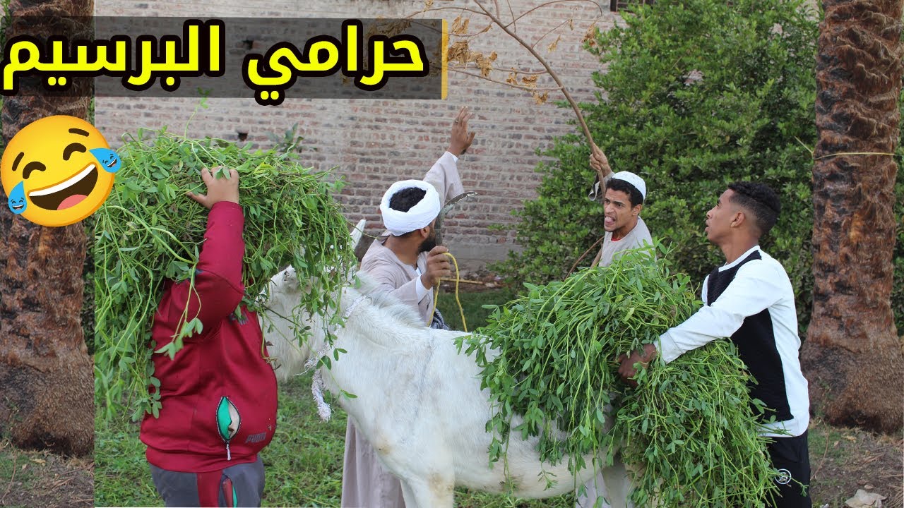 الحاج صديق سرق حمارة البرسيم شوف صاحب الزرع عمل في اي 😂😂