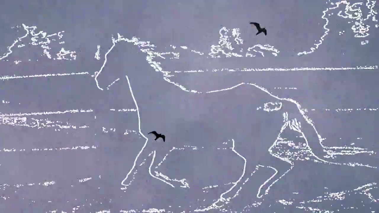 Bridey Costello, Rachel Morris - 