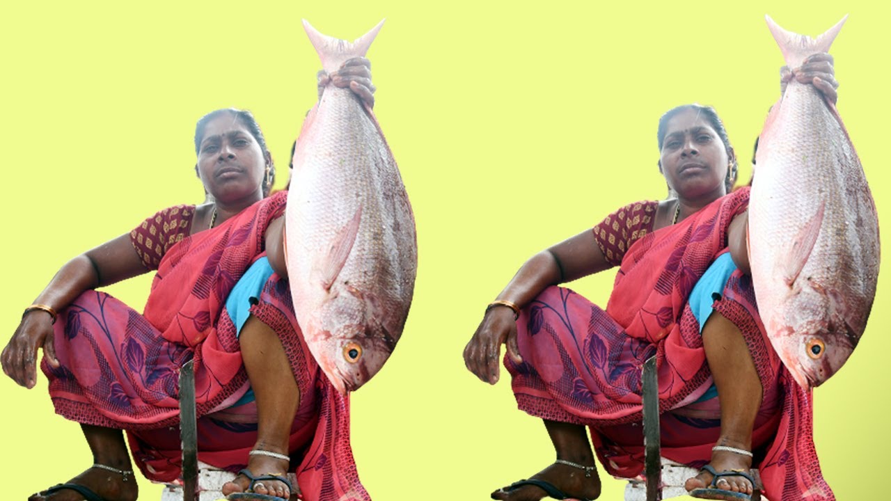 Amazing Big Fish cutting Skills by Village Woman |chirala fish market|chirala vadarevu beach