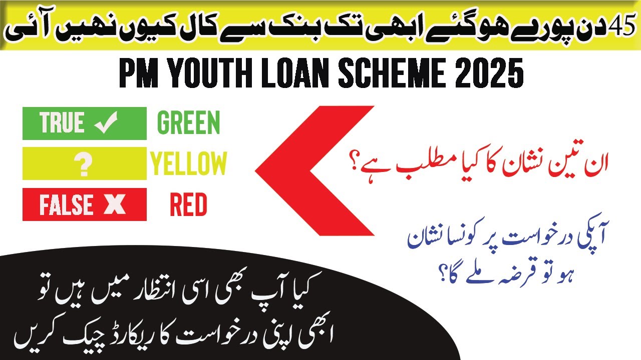 How to check PM Youth Loan Status at home | PM Loan Nadra Verification Status