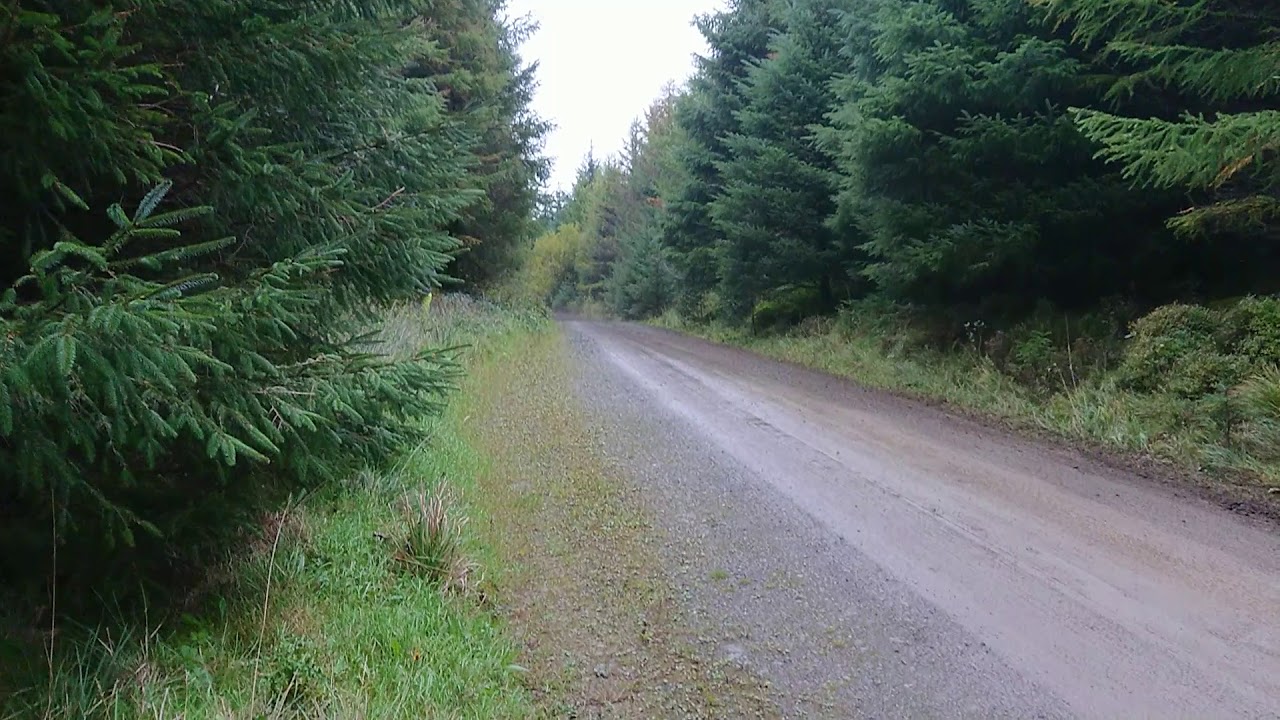 WRGB 2018 Teemu Sunninen Alwen Forest