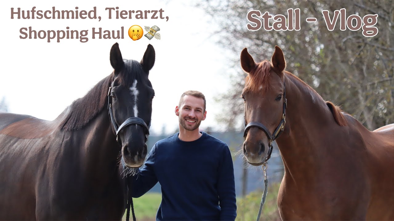 Stallvlog - Teures Hobby Pferd 😬💰🐴