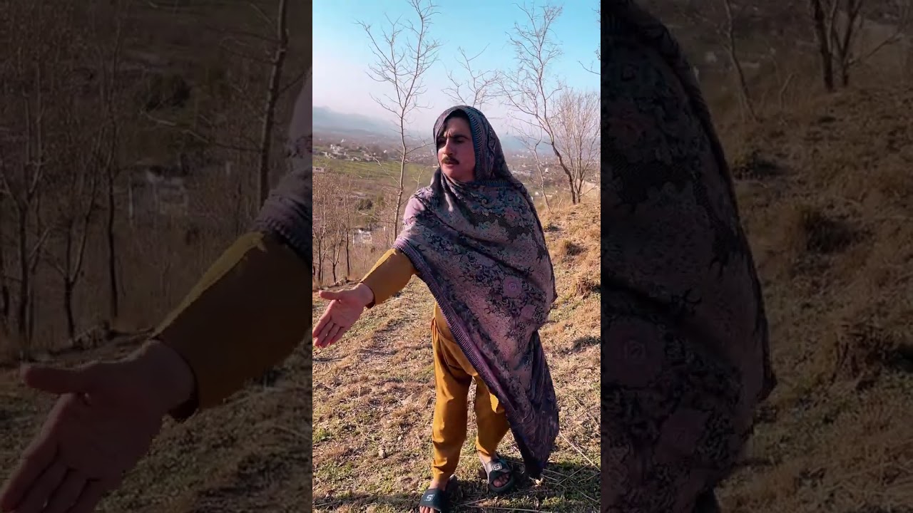 Kashameer ke video ache hn ya panjab ke comante ma batao#funny #comedyvideos #comedyvideos 