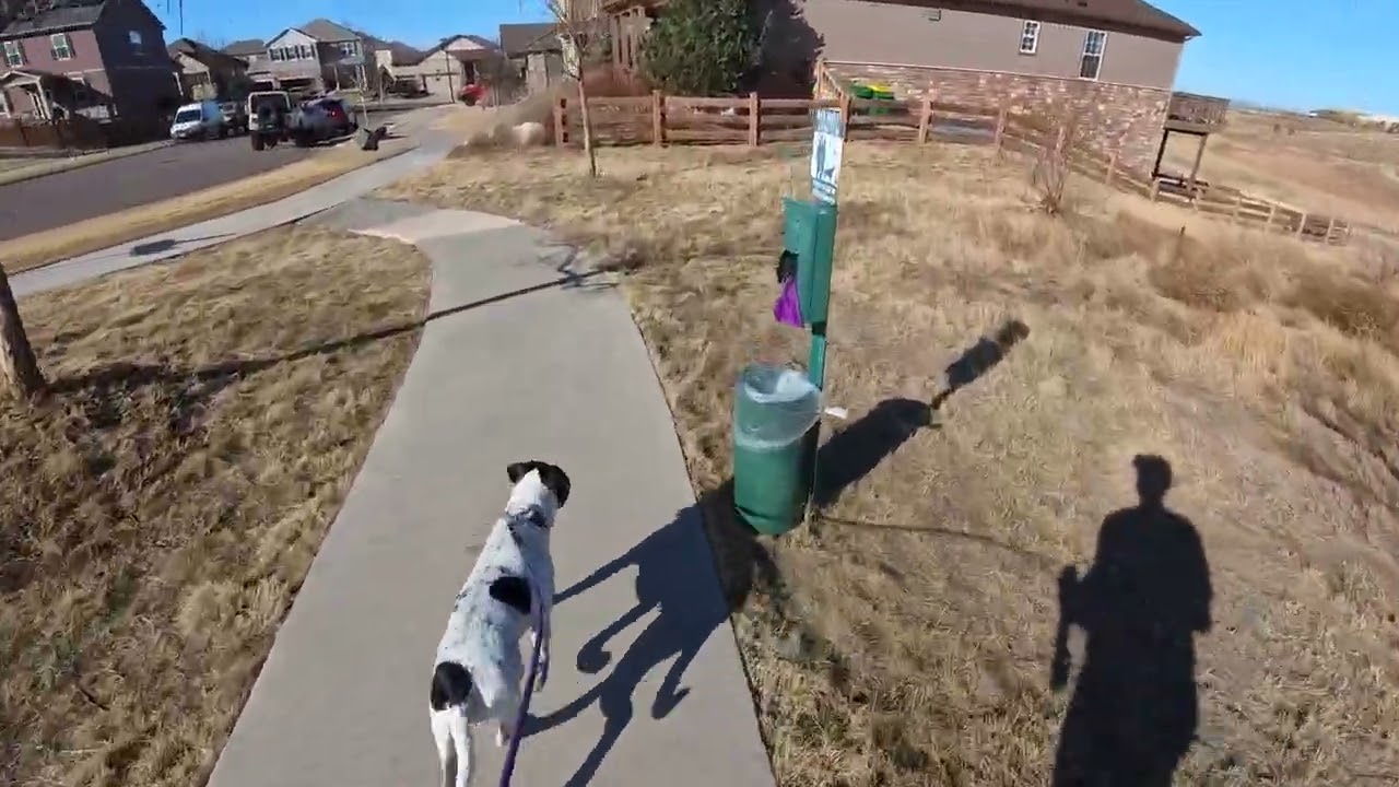 Ramona and Brett Morning Run on Jan 31, 2026