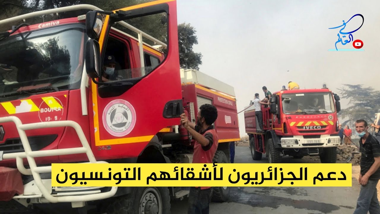 #شاهد كيف استقبل الشعب التونسي ارتال الحماية المدنية الجزائرية