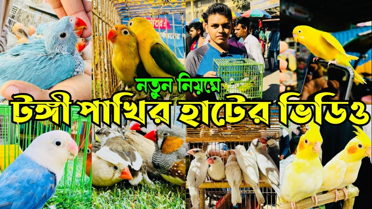 নতুন নিয়মে টঙ্গী পাখির হাটের ভিডিও | Tongi Pakhir Hat | Tongi Bazar Pakhir Hat #viral
