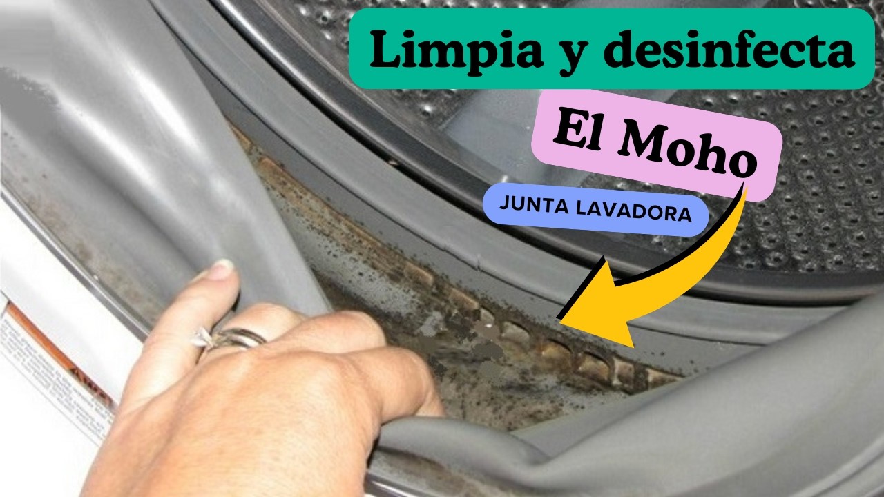 Cómo Eliminar el Moho de la Junta de tu Lavadora Fácilmente