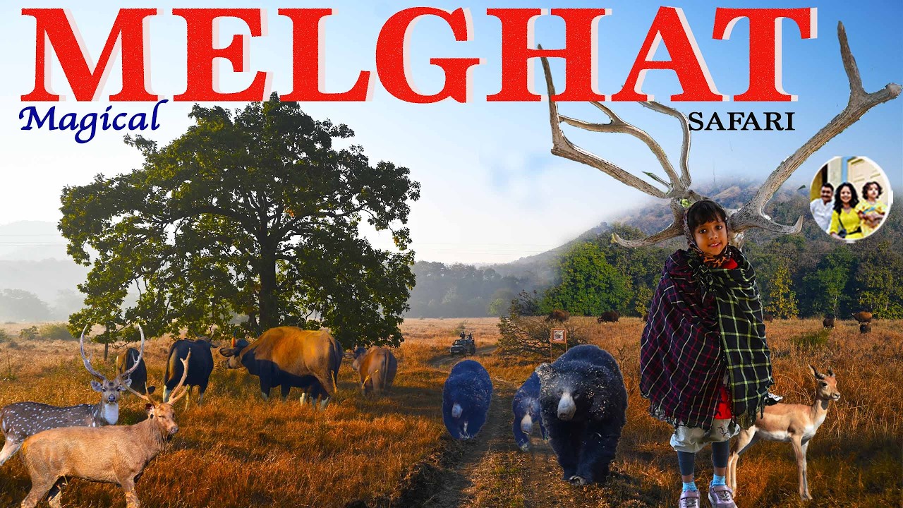 We found Masai Mara in Maharashtra ! Thrilling Narnala wildlife safari ! Magical Melghat