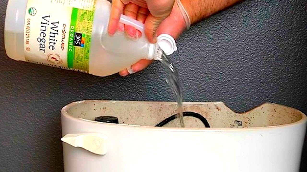 Mettez du Vinaigre dans vos Toilettes et Observez ce Qu'il se Passe