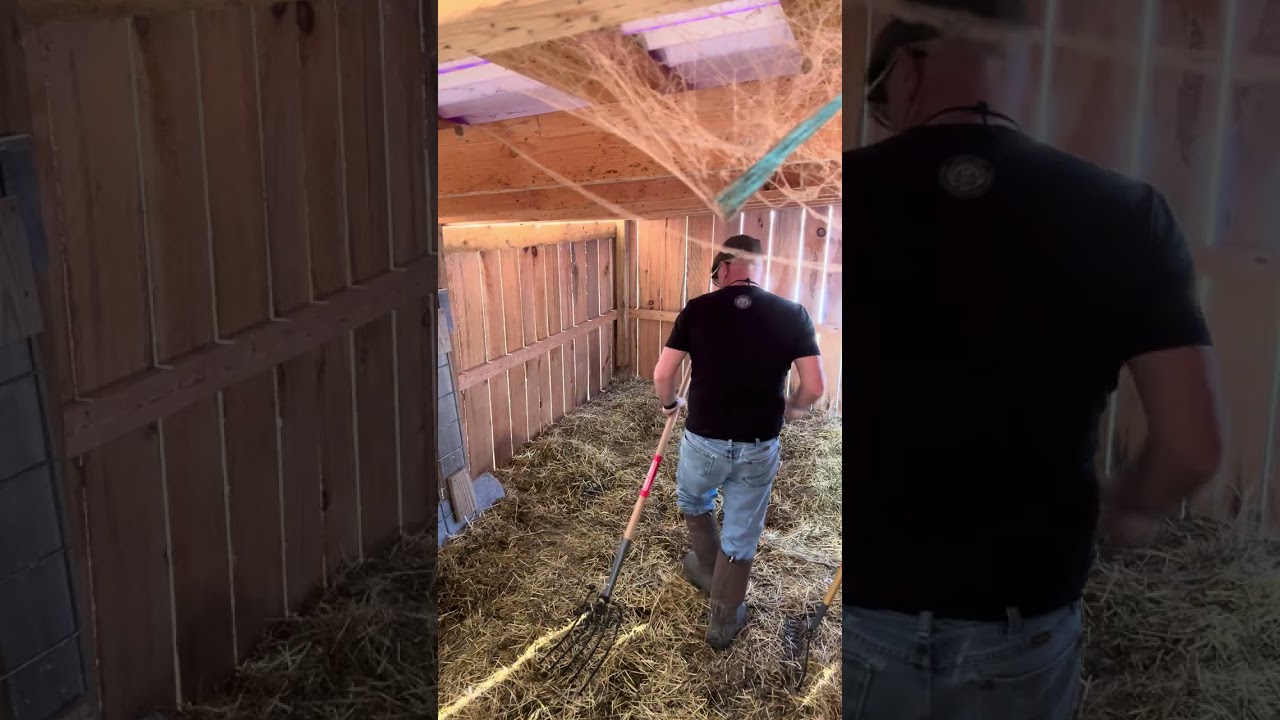 Deep bedding helps keep the ￼goats and dogs warm in freezing temps. (First “warm” day in a week)