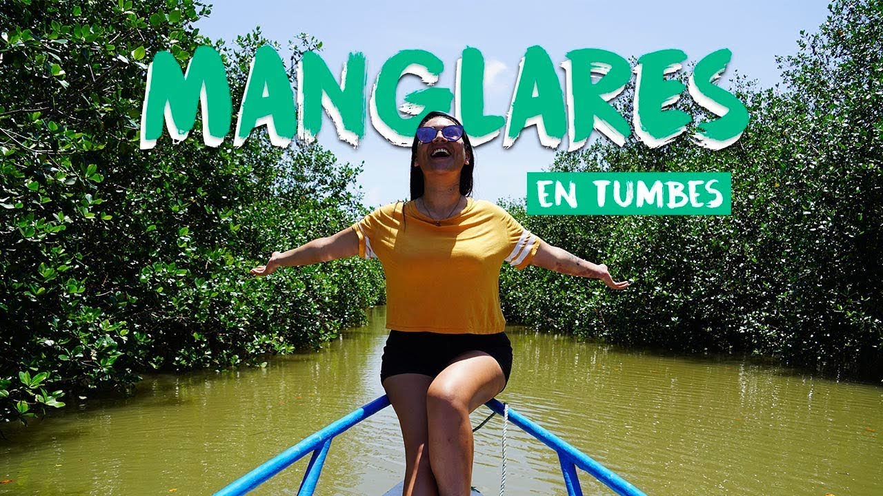 Tour de S/10 en los Manglares en Tumbes | MPV en Perú