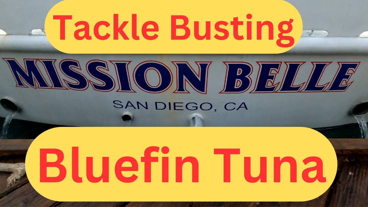 Mission Belle Bluefin Tuna Fishing Point Loma Sportfishing San Diego Ca Lots Of Bluefin Tuna Action