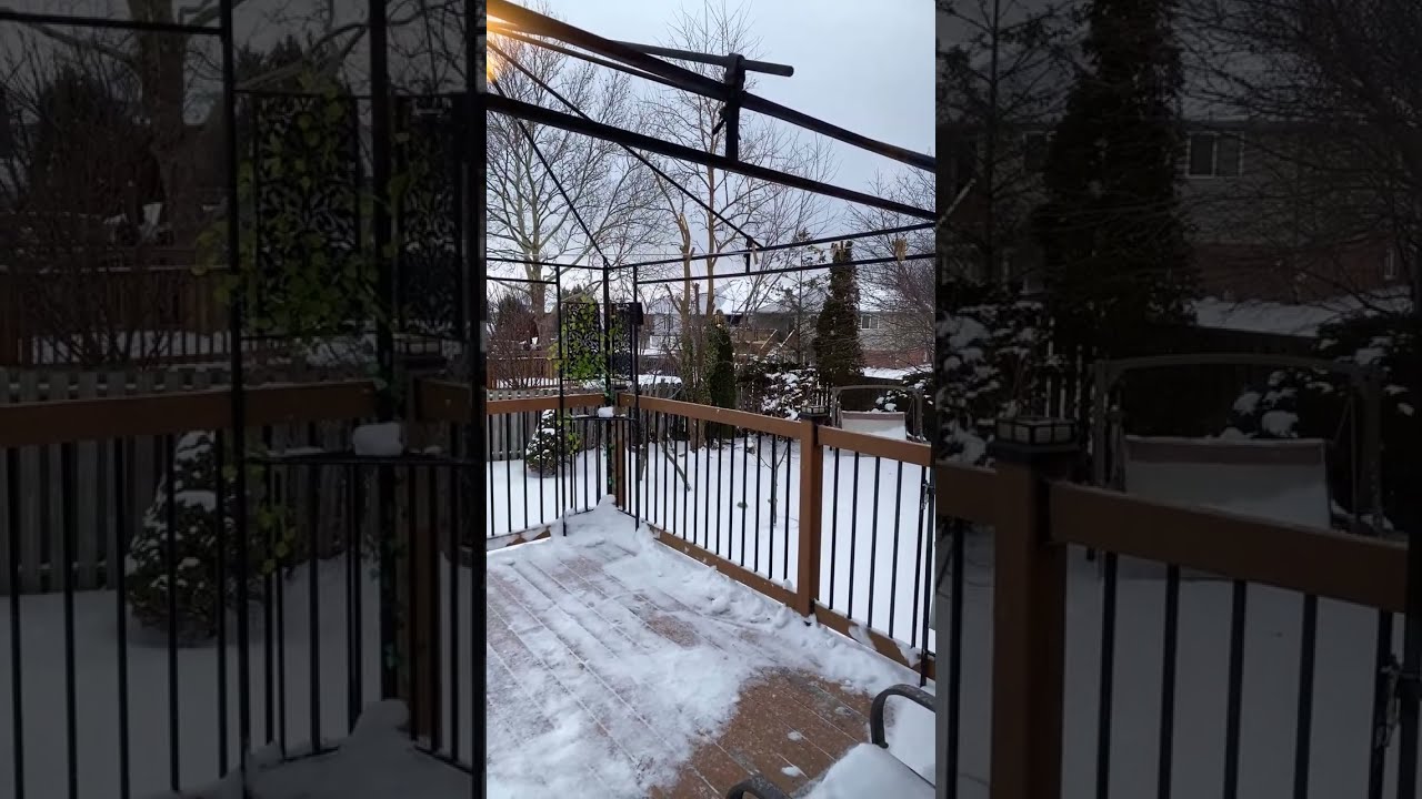Beautiful snow flakes snowing-17🥶🥶
