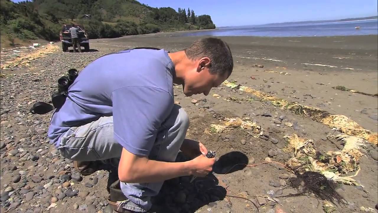 Nate Senner: In the Field