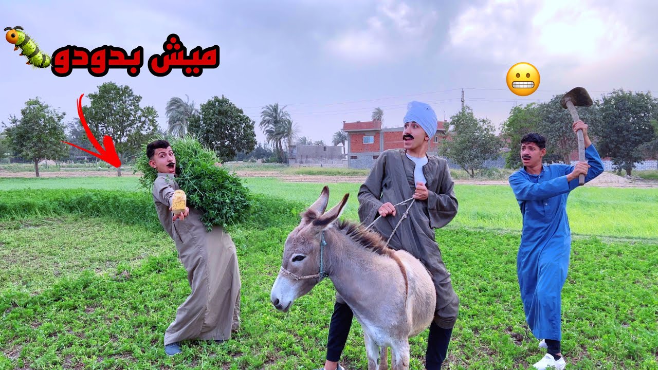 لما ابوك يدخل تحدي مع اصحابه و يعيش يوم فلاحي كامل 😲😂 | محمد عماد و علاء حسين