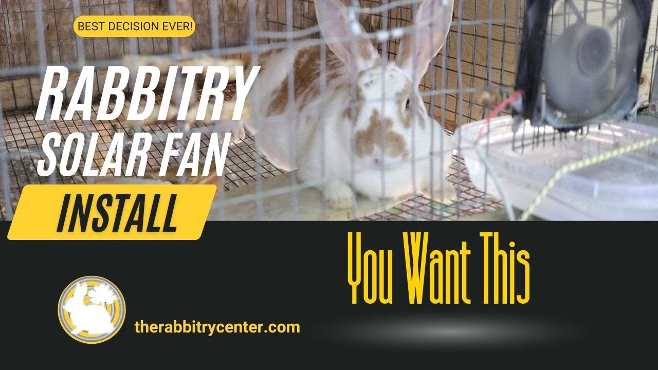 How To Install Solar Powered Fans in Your Rabbitry