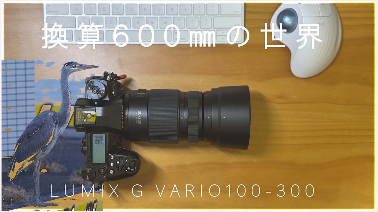 【レンズ】LUMIX G VARIO 100-300 換算600mmの超望遠レンズを購入した！！（開封&作例）